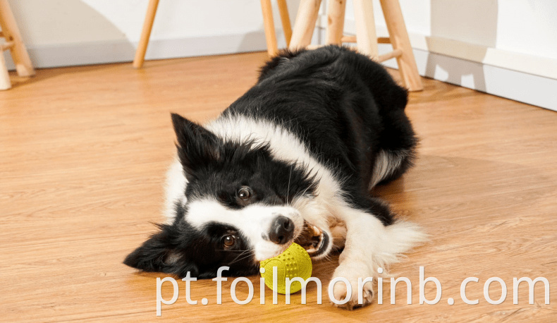 Smiling Ball Dog Toys